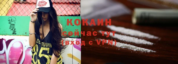 стаф Абаза