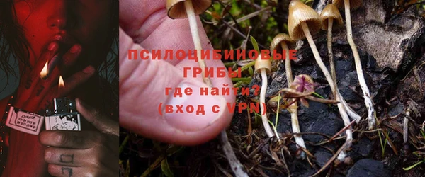 амф Алексин