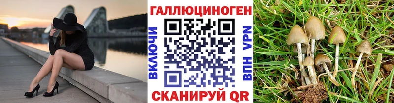 Галлюциногенные грибы прущие грибы  Новоалександровск 