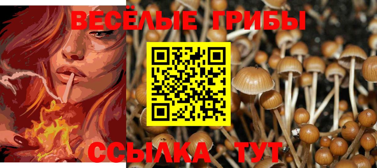 Новоалександровск  Галлюциногенные грибы MAGIC MUSHROOMS  Вход с VPN 